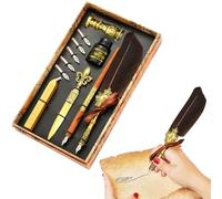 Vintage Goose Set | Vintage Fountain Pen Kit | Fountain Pen Set Includes Pen, Ink, Spare Nibs, Sticks