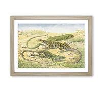 Vintage Green & Ocellated Lizards Framed Print | A2 Oak Framed Wall Art | Ready to Hang | Classic Nature Picture | Living Room Bedroom Lounge Office