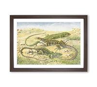 Vintage Green & Ocellated Lizards Framed Print | A2 Walnut Framed Wall Art | Ready to Hang | Classic Nature Picture | Living Room Bedroom Lounge Office