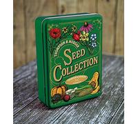 Vintage Green Seeds Storage Tin x1 Perfect for Garden Necessities For Garden Plants by Thompson and Morgan