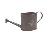 Vintage Grey Watercan Planter Bucket