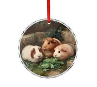 Vintage Guinea Pig Christmas Ornament Round Crystal Glass Xmas Tree Hanging Decor for Home Holiday