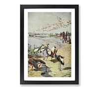 Vintage H Johnston Cranes on Northern Shore of Lake Chad Framed Print | A2 Black Framed Wall Art | Ready to Hang | Classic Animal Picture | Living Room Bedroom Lounge Office
