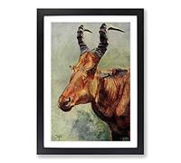 Vintage H Johnston Jackson's Hartebeest Framed Print | A2 Black Framed Wall Art | Ready to Hang | Classic Nature Picture | Living Room Bedroom Lounge Office
