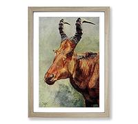 Vintage H Johnston Jackson's Hartebeest Framed Print | A2 Oak Framed Wall Art | Ready to Hang | Classic Nature Picture | Living Room Bedroom Lounge Office