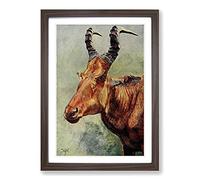 Vintage H Johnston Jackson's Hartebeest Framed Print | A2 Walnut Framed Wall Art | Ready to Hang | Classic Nature Picture | Living Room Bedroom Lounge Office