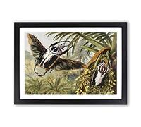Vintage H Morin Goliath Beetles Framed Wall Art Print A2 Black