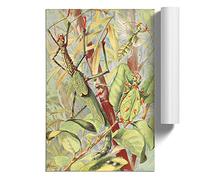 Vintage H Morin Leaf & Stick Insects | Unframed Wall Art Print | Ready to Frame Poster | Modern Home Decor Picture | Artwork for Living Room, Bedroom, Kitchen or Office | A3 (29.7x42 cm)