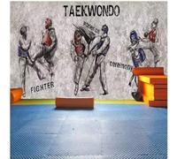 Vintage Hand Painted Taekwondo Boxing Scenery Martial Arts Hall 3D Wallpaper Textured Silk Easy Install Living Room Sofa Bedroom Dining Room Home Decoration Wall-430cm×300cm