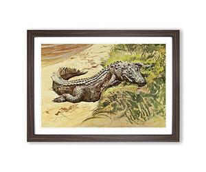 Vintage Harry Johnston Crocodile Sleeping Framed Print | A2 Walnut Framed Wall Art | Ready to Hang | Classic Nature Picture | Living Room Bedroom Lounge Office