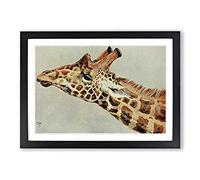 Vintage Harry Johnston Five-Horned Giraffe Framed Print | A2 Black Framed Wall Art | Ready to Hang | Classic Animal Picture | Living Room Bedroom Lounge Office