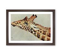 Vintage Harry Johnston Five-Horned Giraffe Framed Print | A2 Walnut Framed Wall Art | Ready to Hang | Classic Animal Picture | Living Room Bedroom Lounge Office