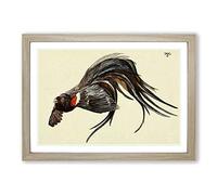 Vintage Harry Johnston The King of The Widow-Finches Framed Print | A2 Oak Framed Wall Art | Ready to Hang | Classic Nature Picture | Living Room Bedroom Lounge Office