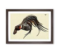 Vintage Harry Johnston The King of The Widow-Finches Framed Print | A2 Walnut Framed Wall Art | Ready to Hang | Classic Nature Picture | Living Room Bedroom Lounge Office