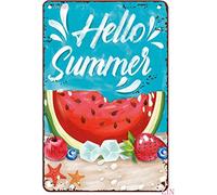 Vintage Hello Summer Watermelon and Ice On The Beach Fruits Poster Metal Aluminium Tin Sign Wall Decor 8"x12"