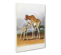 Vintage Hills, Robert Giraffe Vintage Canvas Wall Art Print Ready to Hang, Framed Picture for Living Room Bedroom Home Office Décor, 24x16 Inch (60x40 cm)