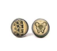 Vintage Human Anatomy Cufflinks - The Spine - Gifts for Him - Gift for Chiropractor or Spinal Surgeon - Bone Doctor - Chropractic