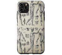 Vintage Human Muscular Anatomic Illustrations Case for iPhone 11 Pro Max