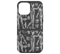 Vintage Human Muscular Anatomic Illustrations Case for iPhone 12 Pro Max