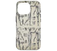 Vintage Human Muscular Anatomic Illustrations Case for iPhone 16 Pro