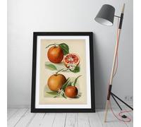 Vintage illustration of orange John Wright Stunning Framed Wall Art Print Picture - A2 - Black Frame