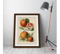 Vintage illustration of orange John Wright Stunning Framed Wall Art Print Picture - A2 - Walnut Frame
