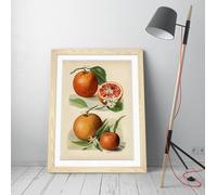 Vintage illustration of orange John Wright Stunning Framed Wall Art Print Picture - A4 - Light Oak Frame