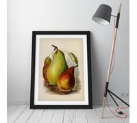 Vintage illustration of pear John Wright Stunning Framed Wall Art Print Picture - A4 - Black Frame
