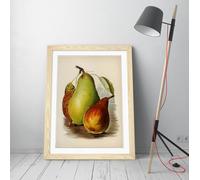 Vintage illustration of pear John Wright Stunning Framed Wall Art Print Picture - A4 - Light Oak Frame