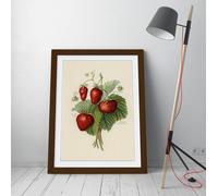 Vintage illustration of strawberries John Wright Stunning Framed Wall Art Print Picture - A2 - Walnut Frame