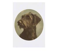 'Vintage Irish Wolfhound Portrait' Temporary Tattoo - Water Resistant, Skin-Safe, Non-Toxic Transfer (TO00080829)