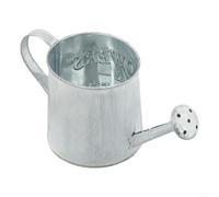 Vintage Iron Watering Can Pot for Home & Garden Decor - Retro Metal Flower Vase with Engraved Design, Compact 3.54" x 3.35" Decorative Bucke(The Old)