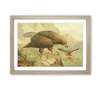 Vintage J.G. Keulemans Golden Eagle Framed Print | A2 Oak Framed Wall Art | Ready to Hang | Classic Animal Picture | Living Room Bedroom Lounge Office
