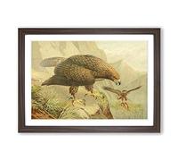 Vintage J.G. Keulemans Golden Eagle Framed Print | A2 Walnut Framed Wall Art | Ready to Hang | Classic Animal Picture | Living Room Bedroom Lounge Office