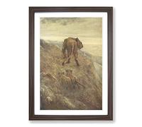 Vintage John Macallan Swan Lion and Cubs Framed Print | A2 Walnut Framed Wall Art | Ready to Hang | Classic Animal Picture | Living Room Bedroom Lounge Office