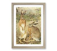 Vintage Karl Ludwig Hartig Hare Framed Print | A2 Oak Framed Wall Art | Ready to Hang | Classic Animal Picture | Living Room Bedroom Lounge Office