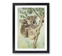 Vintage Karl Ludwig Hartig Koala Framed Print | A2 Black Framed Wall Art | Ready to Hang | Classic Animal Picture | Living Room Bedroom Lounge Office