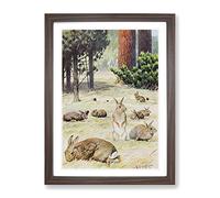 Vintage Karl Ludwig Hartig Wild Rabbits Vintage Framed Print | A3 Walnut Framed Wall Art | Ready to Hang | Classic Animal Picture | Living Room Bedroom Lounge Office