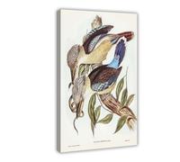 Vintage Kingfisher Art - Australian Bird Posters Canvas Poster Bedroom Decor Landscape Office Room Decor Gift 24x36inch(60x90cm)