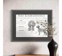 Vintage Labradoodle Wall Art, Black and White Dog Breed Standard Print, Antique Style Anatomical Drawing, Framed Educational Poster (A3-30 * 42cm)