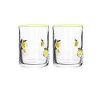 Vintage Lemon Print Glass Tumbler 14oz Practical Material Multipurpose Beverage Container for Home Pub Vintage Style Glasses Pair
