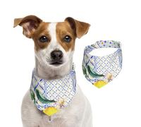 Vintage Lemon Summer Fruit Ethnic Blue,Dog Bandanas Cotton Pet Scarf Adjustable Bibs for Pet,M