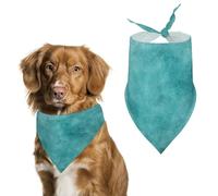 Vintage Light Teal Leather Text Dog Bandanna Adjustable Pet Triangle Kerchief Scarf for Cat And Dog