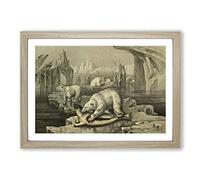 Vintage M Korner Polar Bear & Greenland Seal Framed Print | A2 Oak Framed Wall Art | Ready to Hang | Classic Animal Picture | Living Room Bedroom Lounge Office