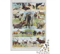 Vintage Mammals 1000 Piece Jigsaw Puzzle, 38x26cm/1000pcs, for Adults, Quiet Home Activity, Weekend Downtime And Puzzle Lovers