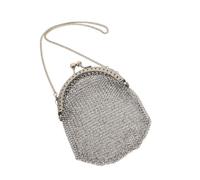 Vintage Metal Mesh Evening Clutch Purse with Shoulder Chain | Stainless Steel Build, Compact Storage for Keys and Transit Cards, Victorian Vintage Style for Parties and Gatherings