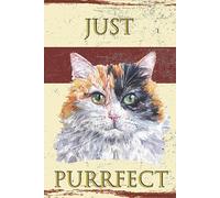 Vintage Metal Sign BLACK GINGER CAT 8X12 inch Home Decor Inside Outside Bar Kitchen Pub Decorative Plaques