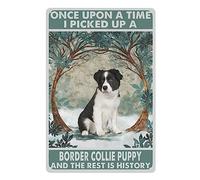 Vintage Metal Sign Border Collie Wall Decor Hanging Art, Once Upon A Time Picked Up A Puppy And The Rest Is History Sign Room Wall Artwork Metal Plaque Poster Decor for Home or Business Use 6x8 in