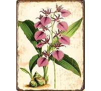 Vintage Metal Sign Botanical Print Orchid tin Sign Antique Book Illustration Leaves Plants and Flowers Art Garage Cafe Aluminum Sign for Bathroom Kitchen Home Bar Cafe Garage Man Cave 8" x 12"