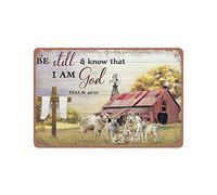 Vintage Metal Sign Farmhouse Be Still and Know That I Am God tin Sign Christian Gifts Wall Decor Aluminum Sign for Bathroom Kitchen Home Bar Cafe Garage Man Cave 8" x 12"